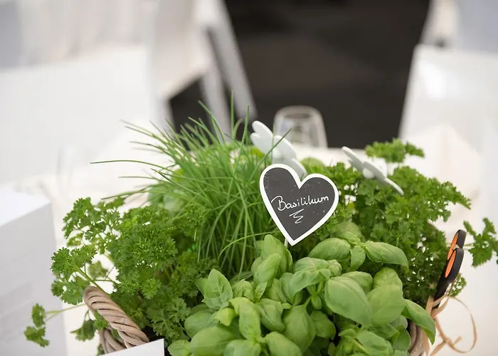 Haus Wilms Hotel Wassenberg